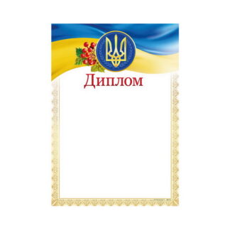 Диплом ДМ-031 А4/170гр